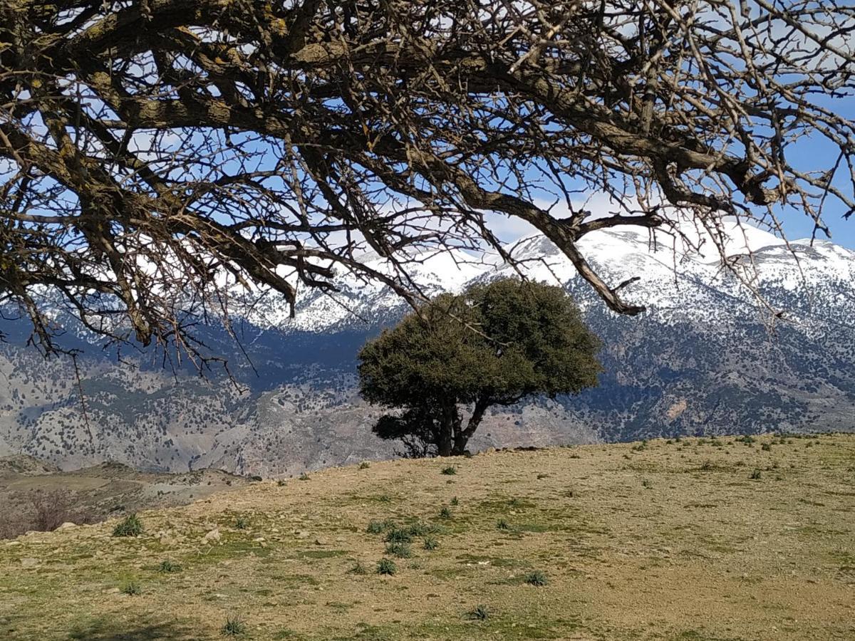 Il Silenzio Villa Magarikari Kültér fotó