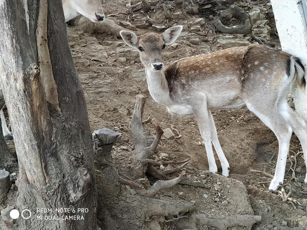 Il Silenzio Villa Magarikari Kültér fotó