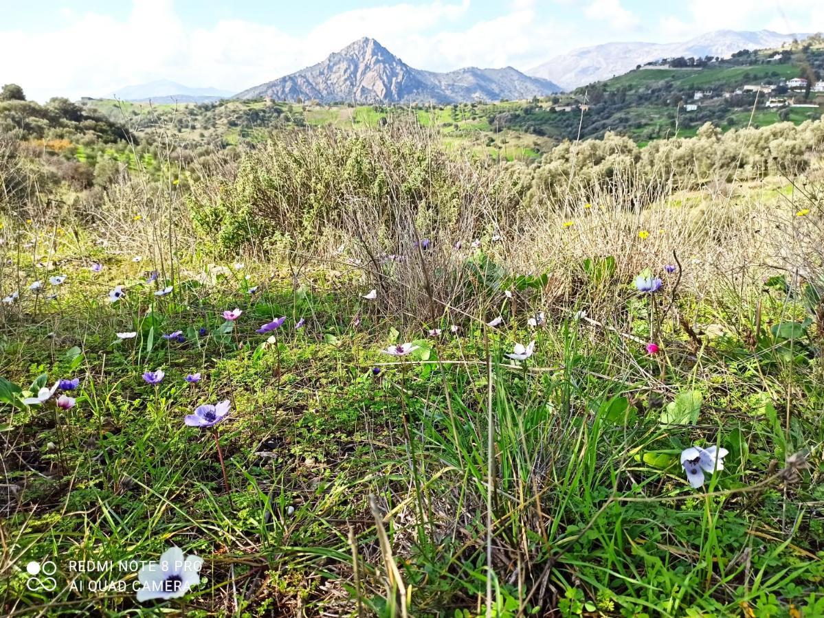 Il Silenzio Villa Magarikari Kültér fotó